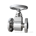 Natural Gas Pipelines Socket Welded Titanium Gate Valve